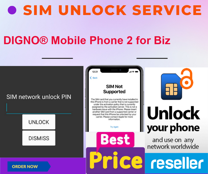 sim unlock service DIGNO® Mobile Phone 2 for Biz